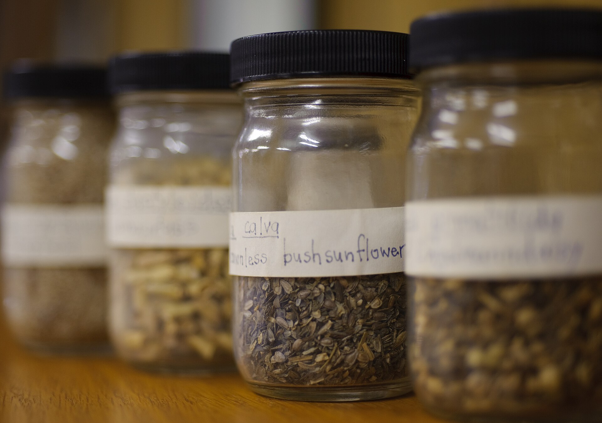 seeds stored in airtight glass jars