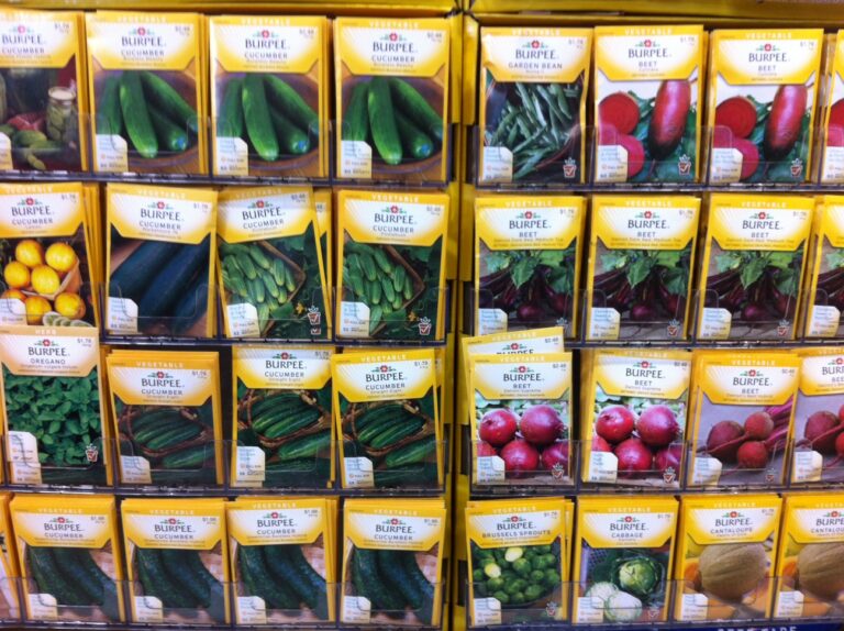 Seed Saving Guide: Build a Garden That Renews Itself Every Year