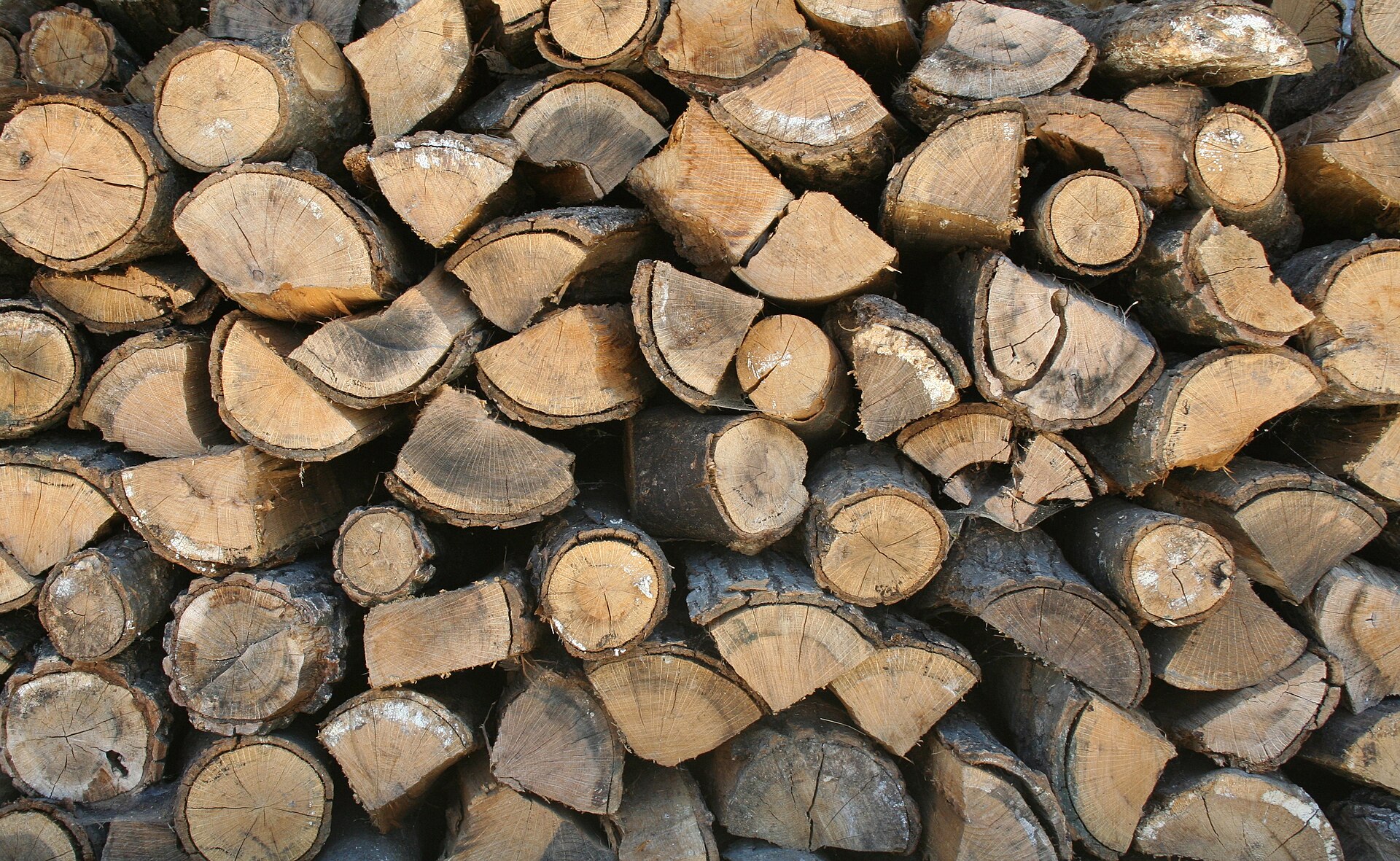 stacked seasoned firewood