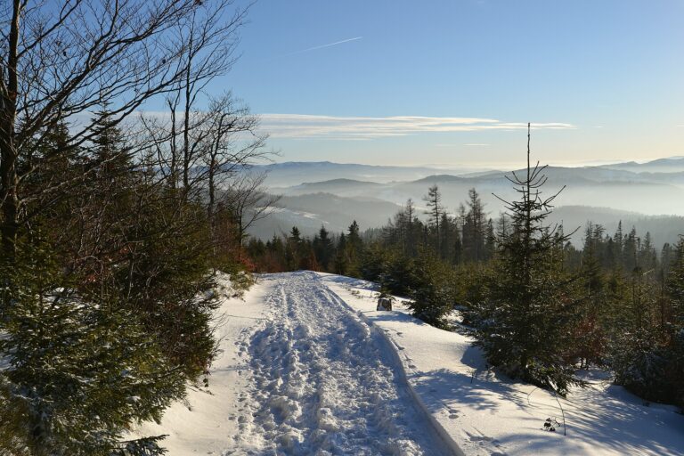 Winter Car Emergency Kit: What Actually Keeps You Alive